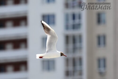 YE1A7144_r